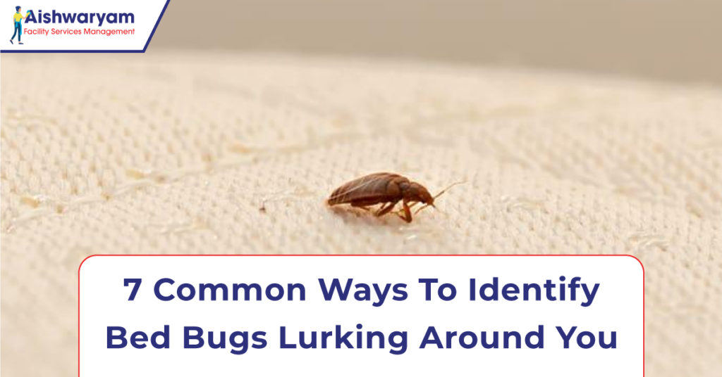 Bug control