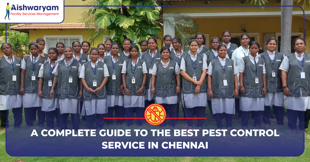 the best pest control service in Chennai